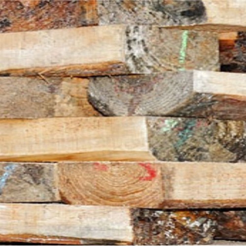 Madedera JERUPICA